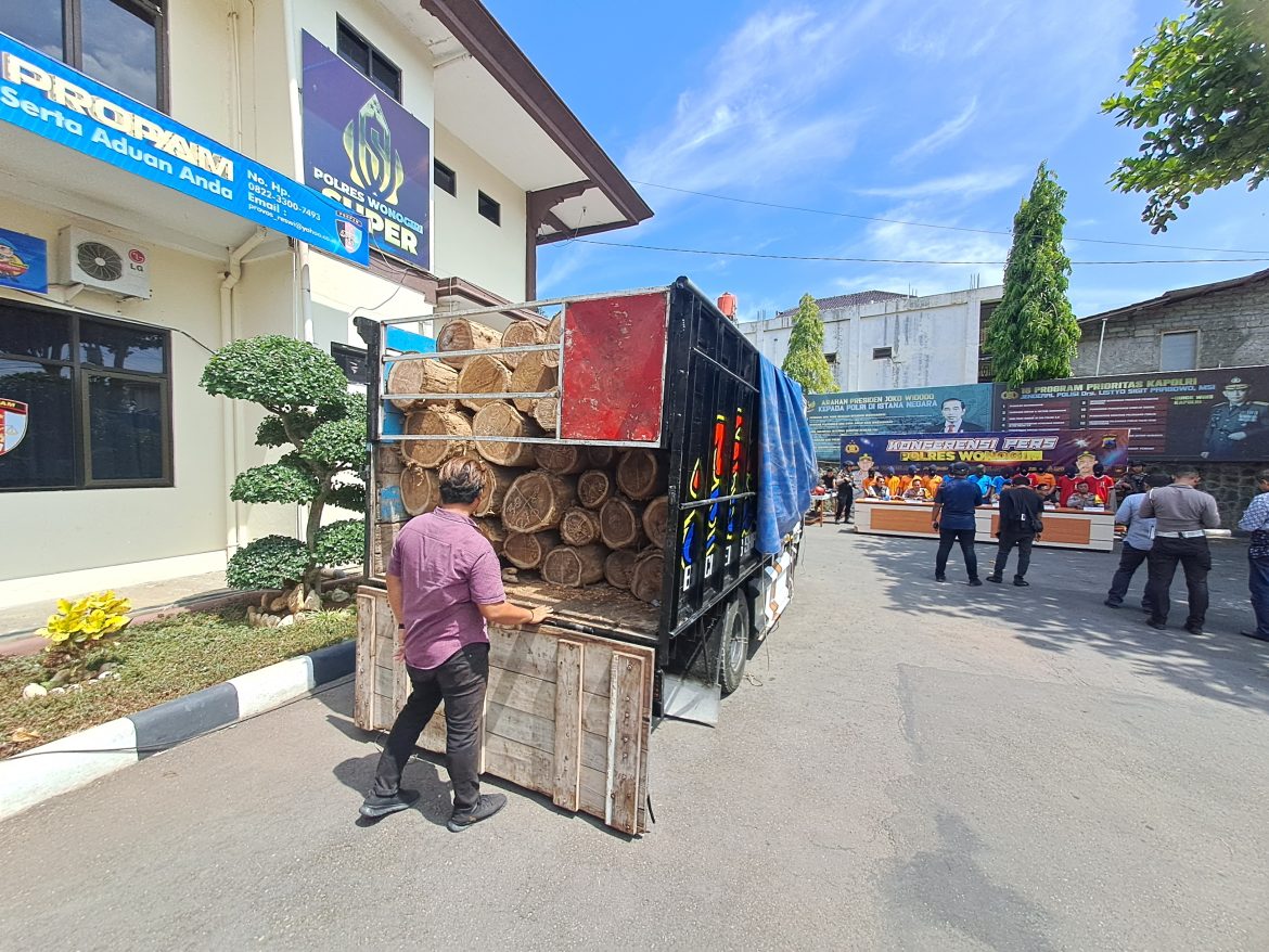 Polisi Amankan Puluhan Batang Sonokeling Illegal Logging, Laku Dijual ke Luar Negeri
